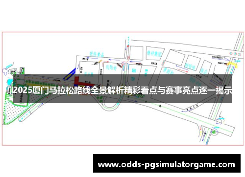 2025厦门马拉松路线全景解析精彩看点与赛事亮点逐一揭示