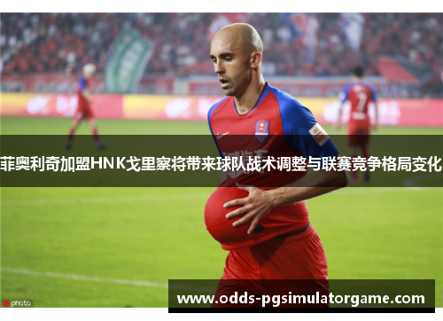 菲奥利奇加盟HNK戈里察将带来球队战术调整与联赛竞争格局变化