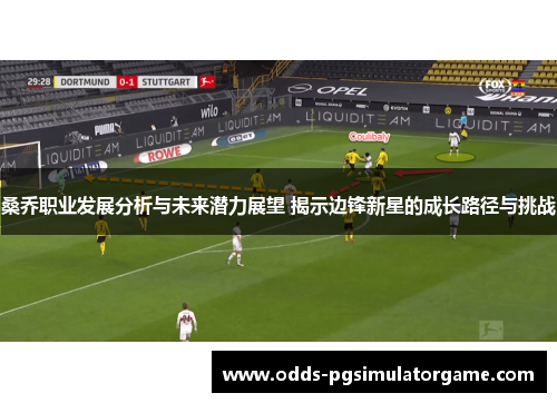 桑乔职业发展分析与未来潜力展望 揭示边锋新星的成长路径与挑战