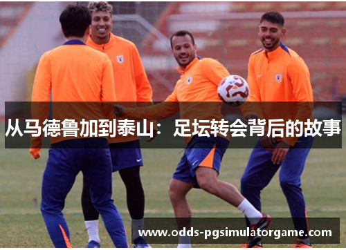 从马德鲁加到泰山：足坛转会背后的故事