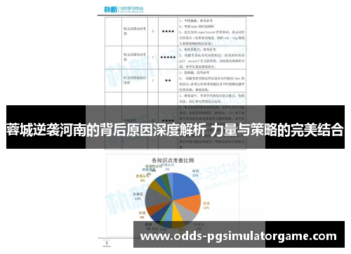 蓉城逆袭河南的背后原因深度解析 力量与策略的完美结合
