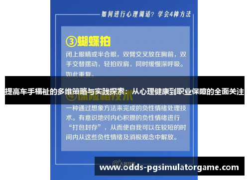 提高车手福祉的多维策略与实践探索：从心理健康到职业保障的全面关注