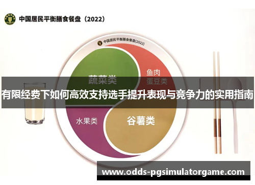 有限经费下如何高效支持选手提升表现与竞争力的实用指南
