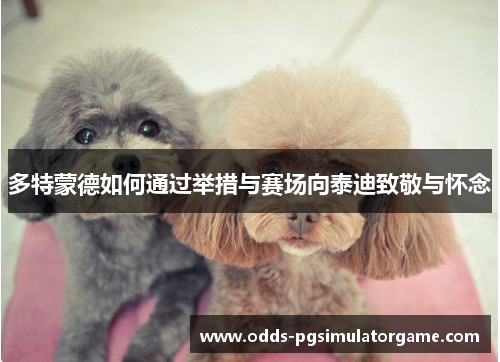 多特蒙德如何通过举措与赛场向泰迪致敬与怀念