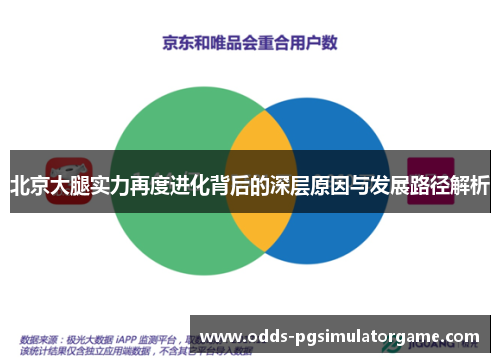 北京大腿实力再度进化背后的深层原因与发展路径解析