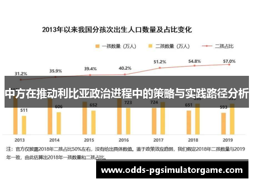 中方在推动利比亚政治进程中的策略与实践路径分析