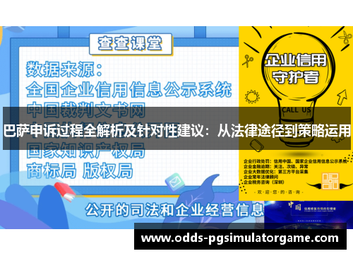 巴萨申诉过程全解析及针对性建议：从法律途径到策略运用