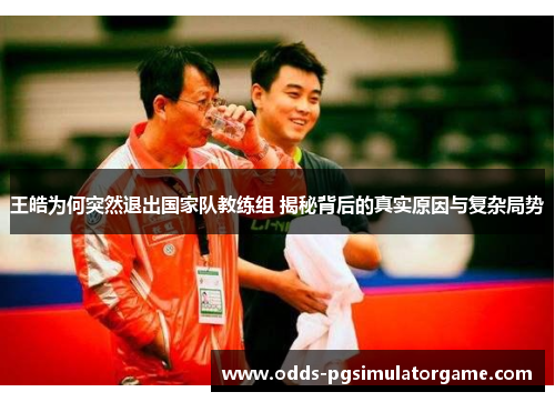 王皓为何突然退出国家队教练组 揭秘背后的真实原因与复杂局势