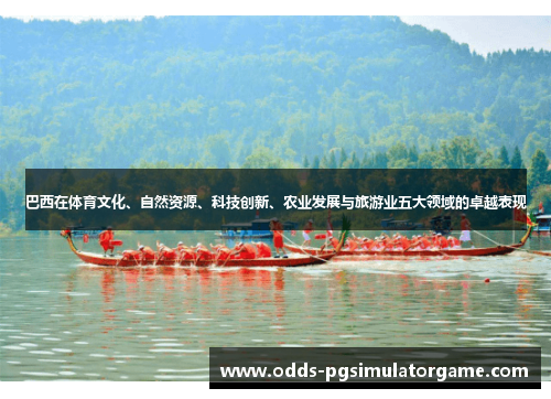 巴西在体育文化、自然资源、科技创新、农业发展与旅游业五大领域的卓越表现