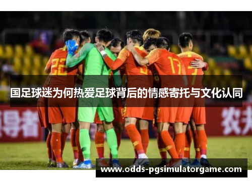 国足球迷为何热爱足球背后的情感寄托与文化认同