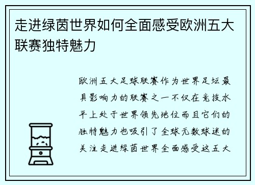 走进绿茵世界如何全面感受欧洲五大联赛独特魅力