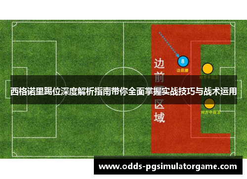 西格诺里踢位深度解析指南带你全面掌握实战技巧与战术运用