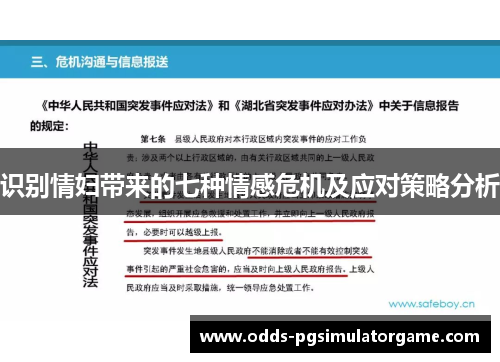 识别情妇带来的七种情感危机及应对策略分析 识别情妇带来的七种情感危机及应对策略分析