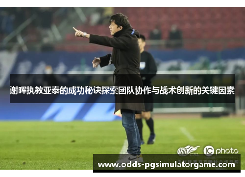谢晖执教亚泰的成功秘诀探索团队协作与战术创新的关键因素