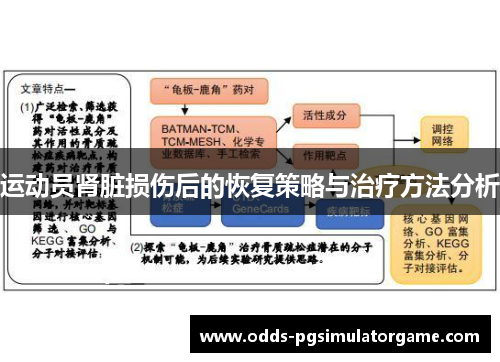 运动员肾脏损伤后的恢复策略与治疗方法分析 运动员肾脏损伤后的恢复策略与治疗方法分析