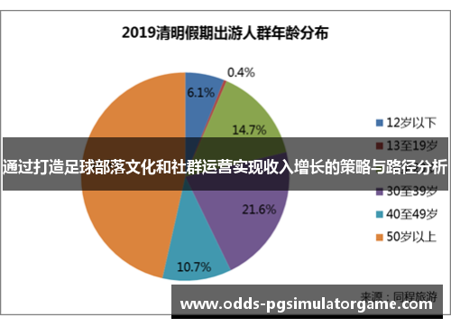 通过打造足球部落文化和社群运营实现收入增长的策略与路径分析