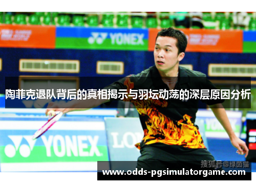 陶菲克退队背后的真相揭示与羽坛动荡的深层原因分析 陶菲克退队背后的真相揭示与羽坛动荡的深层原因分析