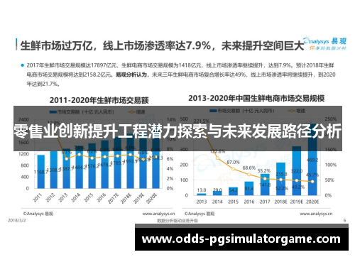零售业创新提升工程潜力探索与未来发展路径分析