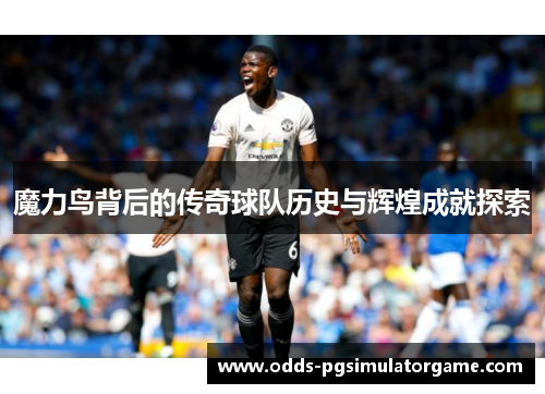 魔力鸟背后的传奇球队历史与辉煌成就探索