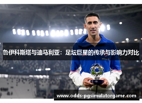 鲁伊科斯塔与迪马利亚：足坛巨星的传承与影响力对比