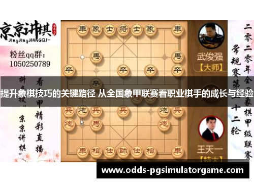 提升象棋技巧的关键路径 从全国象甲联赛看职业棋手的成长与经验
