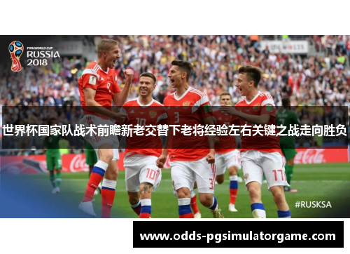 世界杯国家队战术前瞻新老交替下老将经验左右关键之战走向胜负