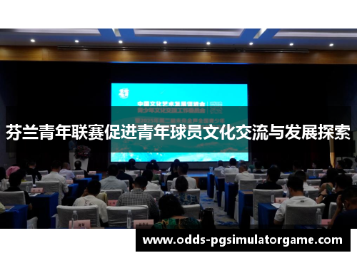 芬兰青年联赛促进青年球员文化交流与发展探索