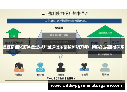 通过精细化财务管理提升足球俱乐部盈利能力与可持续发展路径探索